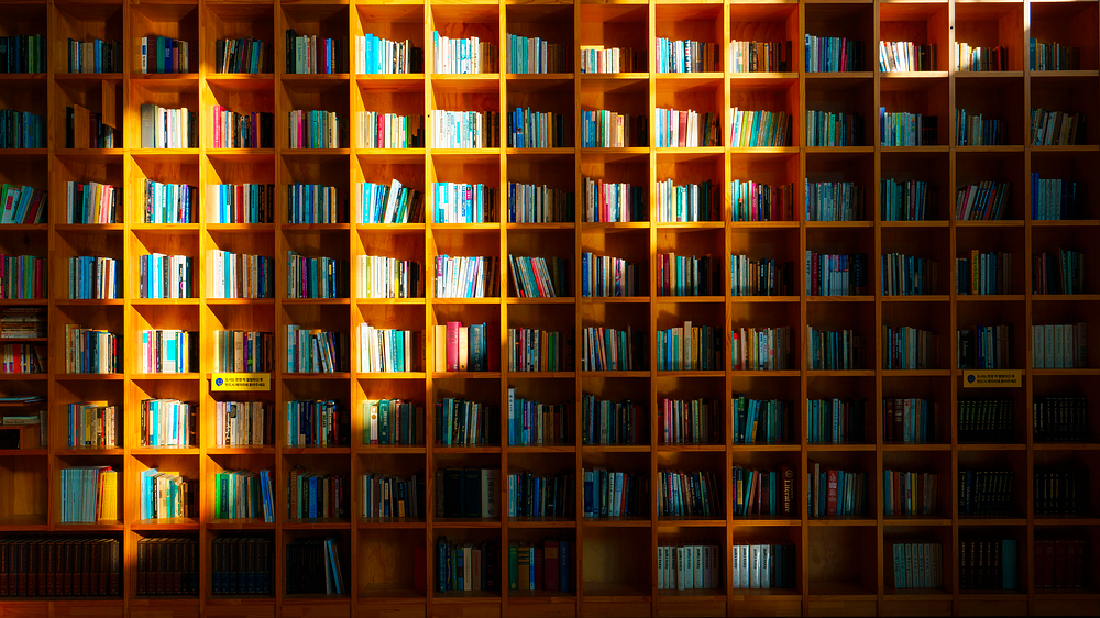 교사 프로필 사진